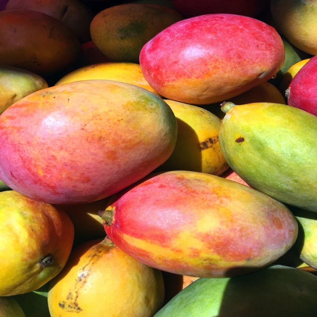 Mango